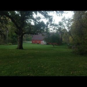 Meet your Posher, Maryanne